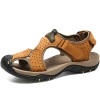 Light_Brown