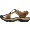 Dark_Brown