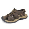 Dark_brown