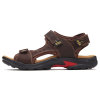 Dark_brown