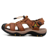 LightBrown