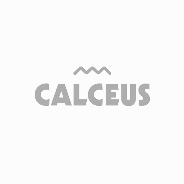 Calceus Workwear Casual Shoes detail Image
